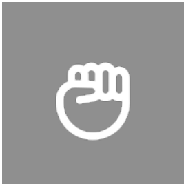 Icon 2